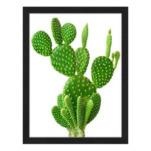 Картина Any Image Cactus, 32x42x2,6 см