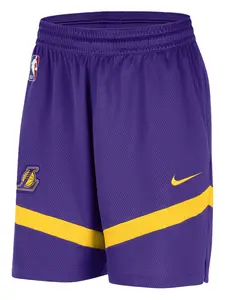 Шорты NBA Lakers Icon Nike, фиолетовый