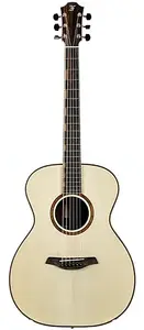 Furch Фурх Ред Пьюр OM-LR а