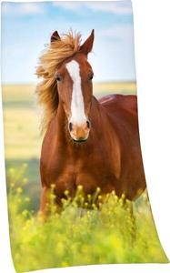 Пляжное полотенце Herding 164596, 75x1x150 см, красочный