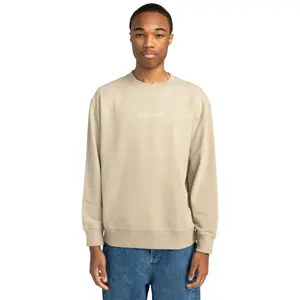 Мужская толстовка Cornell Cipher Element, бежевый