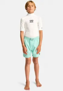 Плавки на весь день Billabong, Ocean Wave - Solid