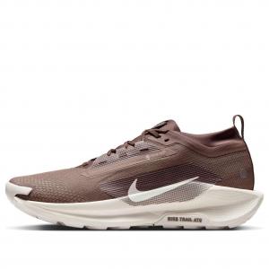 Кроссовки Nike Pegasus Trail 5 Gore-Tex 'Mink Brown'