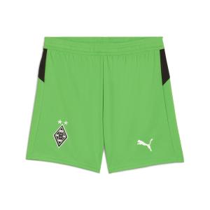 PUMA Шорты для тренировок Regular 'Borussia Mönchengladbach 25/26' в зеленом цвете