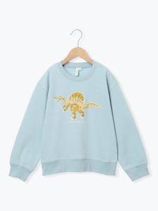Толстовка на флисовой подкладке с принтом динозавров Samansa Mos2 Lagom, цвет Saxe Blue