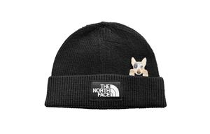 THE NORTH FACE Нейлоновые шапка бини Unisex черная белая серебристая