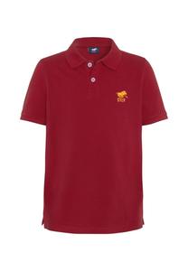 Рубашка-поло с вышивкой этикеток POLO SYLT, цвет Chili Pepper