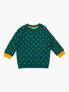 Детский свитшот из органического хлопка с принтом звезд Little Green Radicals