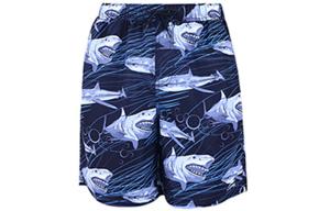 Шорты пляжные мужские синие LINING