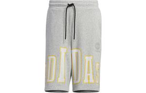 Шорты мужские Adidas Neo, серый