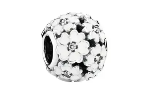 Pandora Jewelry Accessories Women's Silver