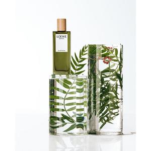 Мужская туалетная вода Esencia Eau de Parfum Loewe, 150