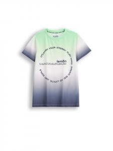 Футболка Lemon explore, красочный