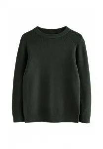 Джемпер с круглым вырезом, стандартного кроя Next, Dark Green