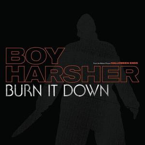 Сингл 12" Boy Harsher: Burn It Down