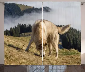 Штора в деревенском стиле ABAKUHAUS "Аляскинский маламут", чистокровная собака, присборенная, с петлями и крючками, 280 x 225 см, цвет: темно-зеленый, светло-коричневый, бежевый Abakuhaus