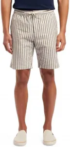 Полосатые бермуды Scotch & Soda