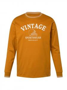 Футболка Men Plus, цвет zimt