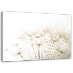 Картина на холсте Feeby Beige Blumen, 90x60x2 см, бежевый