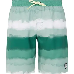 Шорты для плавания Protest Abel, зеленый