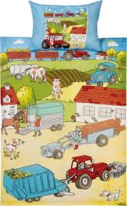 Постельное белье Erwin Müller 137940 2-teilig, 100x1x135 см, красочный