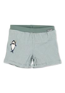 Шорты STERNTALER Board Shorts Hai, темно-зеленый