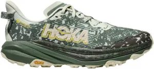 Мужские кроссовки Hoka Speedgoat 6 GTX