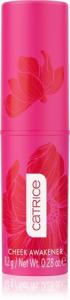 Румяна для здорового свечения Catrice SPRING AWAKENING, 8,2 g
