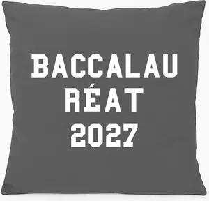 Подушка для дивана Huuraa Baccalauréat 2027, подарок на выпускной во Франции, 40x40 см, с наполнителем из хлопка стального серого цвета, сувенир Baccalauréat 2027 Hellweg Druckerei