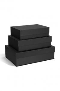 Набор из 3 коробок для хранения Bigso Box Of Sweden, серый