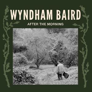 Виниловая пластинка Baird, Wyndham - After The Morning