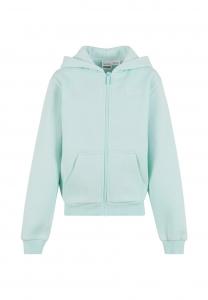 Толстовка Karl Kani VARSITY PALM PRINT, Turquoise