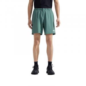 THE NORTH FACE Повседневные шорты ZEPHYR мужские Lushengs Green