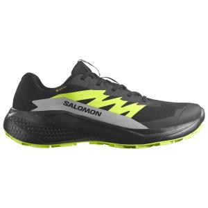 Alphaglide gore-tex - кроссовки для бега по пересеченной местности Salomon, мультиколор