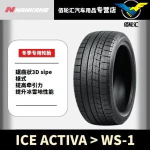 Зимние шины NANKANG WS-1, 2025, 245/45R21, 104H, EV