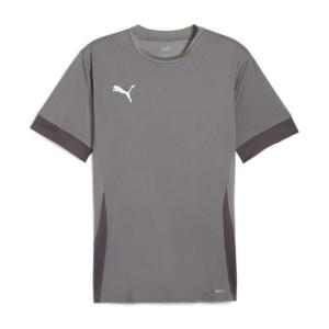 Детская футболка Puma teamGOAL Matchday Jersey jr 705748