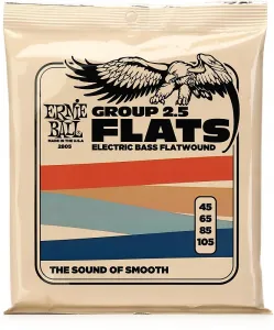 Струны для электрической бас-гитары Ernie Ball 2805 с плоской обмоткой, длинного масштаба, .045-.105, Группа 2.5