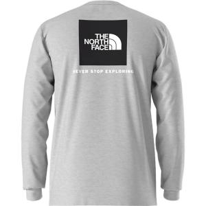 Футболка The North Face Evolution Box NSE Long-Sleeve The North Face, TNF Pale Grey Heather