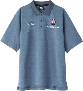 Мужская рубашка поло Canterbury JAPAN MEDIA POLO, сине-серый