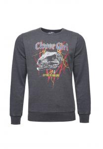 Толстовка Jurassic Park T-Rex rock свободного покроя Re:Covered, серый