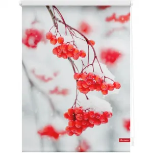 Рулонная штора с боковым управлением Rollo Klemmfix, без сверления, затемняющая, рябина - красно-белая, затемняющая | энергосберегающая, подвесная Lichtblick Original, красный/белый/белый