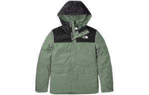 Куртка мужская зеленая The North Face, зеленый
