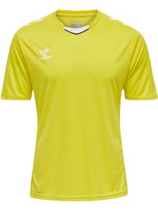 Футболка Hummel Trikot S/S Hmlcore Xk Poly Jersey S/S, цвет BLAZING YELLOW