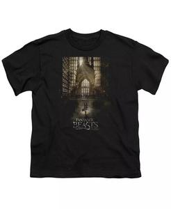 Футболка с коротким рукавом для мальчиков с постером Fantastic Beasts, черный