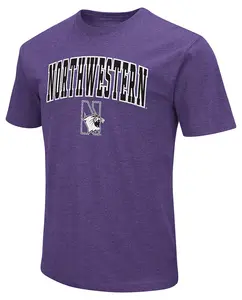 Мужская футболка Colosseum Northwestern Wildcats фиолетового цвета