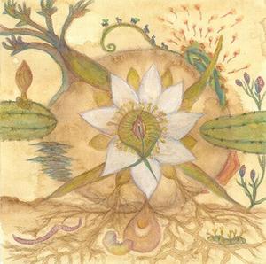 Виниловая пластинка Markandeya: Vision Versions: Joaquin Cornejo Meets Markandeya