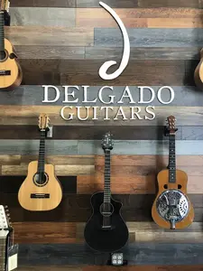 Орхидея Breedlove Rainforest S Concert