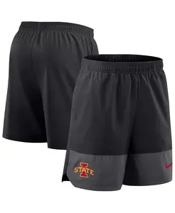 Мужские черные шорты Iowa State Cyclones 2025 Sideline Performance Nike