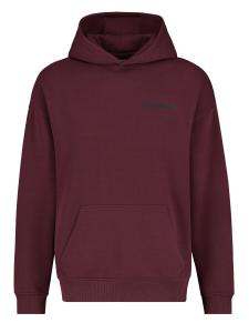 Толстовка Sublevel Worldwide, бургундия