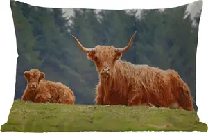 Подушка для улицы - шотландский высокогорный скот - трава - лес - 50 x 30 см - водонепроницаемая - подушка для отдыха - подушка для дивана - украшение для гостиной MuchoWow
